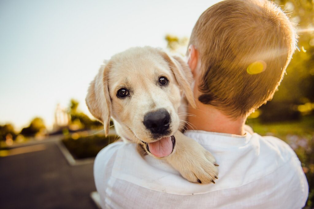 犬と男の子