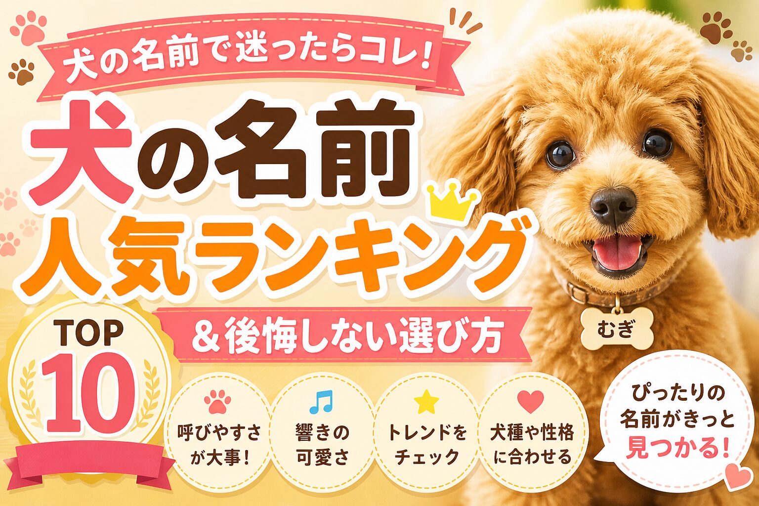 犬の名前で迷ったらコレ！人気ランキングTOP10＆後悔しない選び方を徹底解説 | アニマル日和